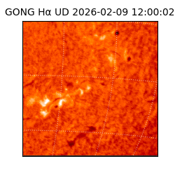 gong - 2026-02-09T12:00:02