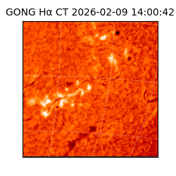 gong - 2026-02-09T14:00:42