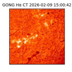 gong - 2026-02-09T15:00:42