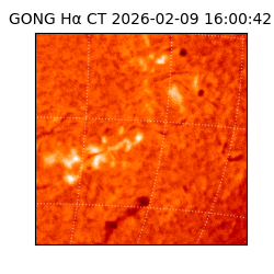 gong - 2026-02-09T16:00:42