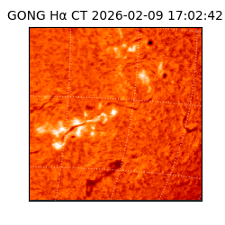 gong - 2026-02-09T17:02:42