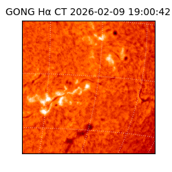 gong - 2026-02-09T19:00:42