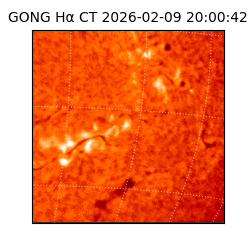 gong - 2026-02-09T20:00:42