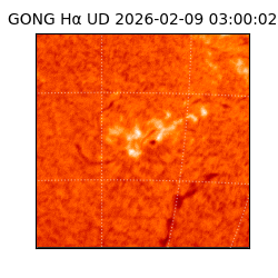 gong - 2026-02-09T03:00:02