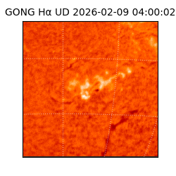 gong - 2026-02-09T04:00:02