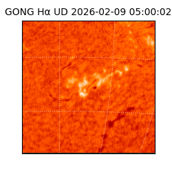 gong - 2026-02-09T05:00:02
