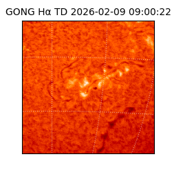 gong - 2026-02-09T09:00:22