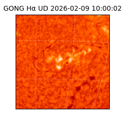 gong - 2026-02-09T10:00:02