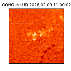 gong - 2026-02-09T11:00:02