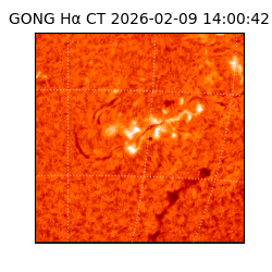 gong - 2026-02-09T14:00:42