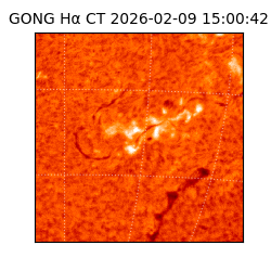 gong - 2026-02-09T15:00:42