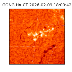 gong - 2026-02-09T18:00:42