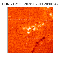 gong - 2026-02-09T20:00:42