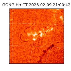 gong - 2026-02-09T21:00:42