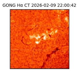 gong - 2026-02-09T22:00:42