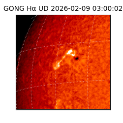 gong - 2026-02-09T03:00:02