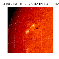 gong - 2026-02-09T04:00:02