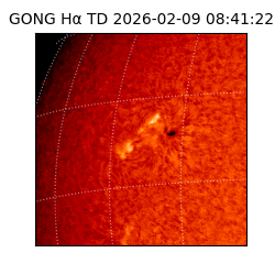gong - 2026-02-09T08:41:22