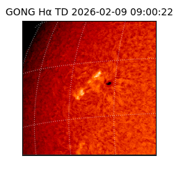 gong - 2026-02-09T09:00:22