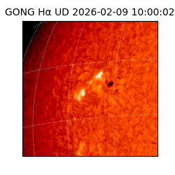 gong - 2026-02-09T10:00:02