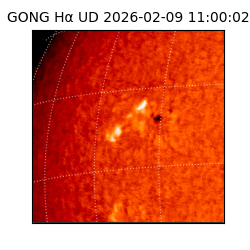 gong - 2026-02-09T11:00:02