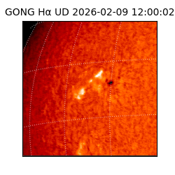 gong - 2026-02-09T12:00:02