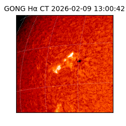 gong - 2026-02-09T13:00:42