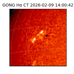 gong - 2026-02-09T14:00:42