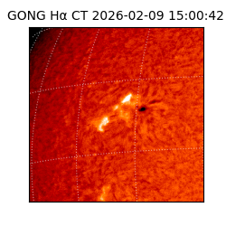 gong - 2026-02-09T15:00:42