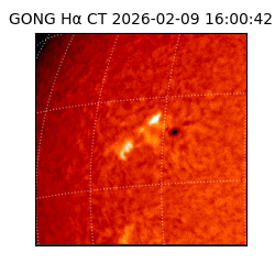 gong - 2026-02-09T16:00:42