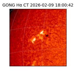 gong - 2026-02-09T18:00:42