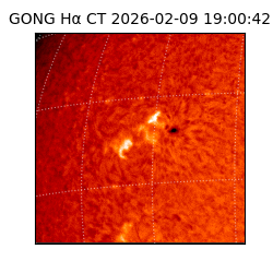 gong - 2026-02-09T19:00:42