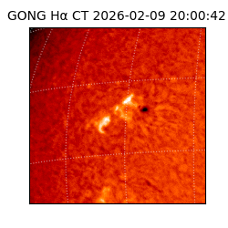 gong - 2026-02-09T20:00:42
