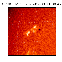 gong - 2026-02-09T21:00:42