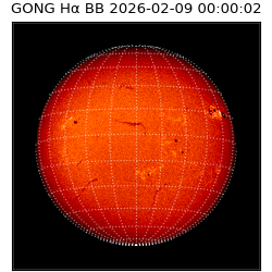 gong - 2026-02-09T00:00:02