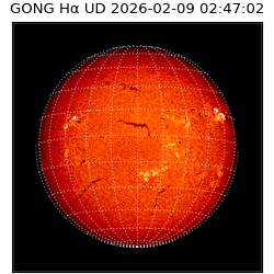 gong - 2026-02-09T02:47:02