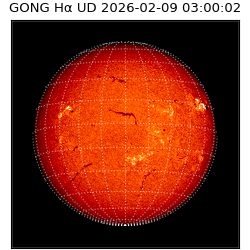gong - 2026-02-09T03:00:02