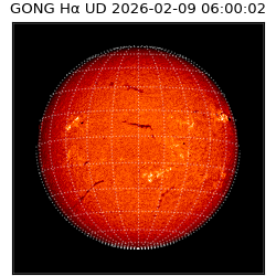 gong - 2026-02-09T06:00:02