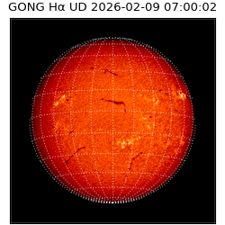 gong - 2026-02-09T07:00:02