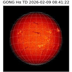 gong - 2026-02-09T08:41:22