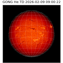 gong - 2026-02-09T09:00:22