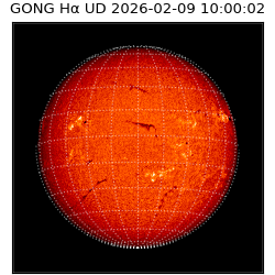 gong - 2026-02-09T10:00:02