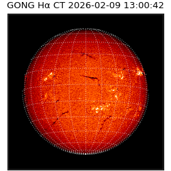 gong - 2026-02-09T13:00:42
