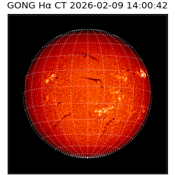 gong - 2026-02-09T14:00:42