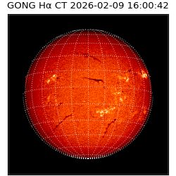 gong - 2026-02-09T16:00:42