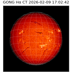 gong - 2026-02-09T17:02:42