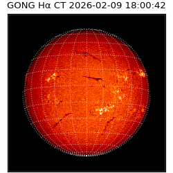 gong - 2026-02-09T18:00:42