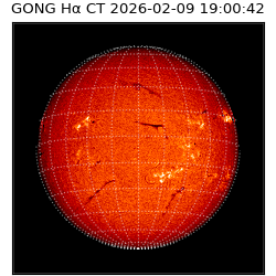 gong - 2026-02-09T19:00:42