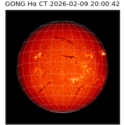 gong - 2026-02-09T20:00:42