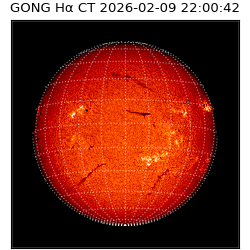 gong - 2026-02-09T22:00:42